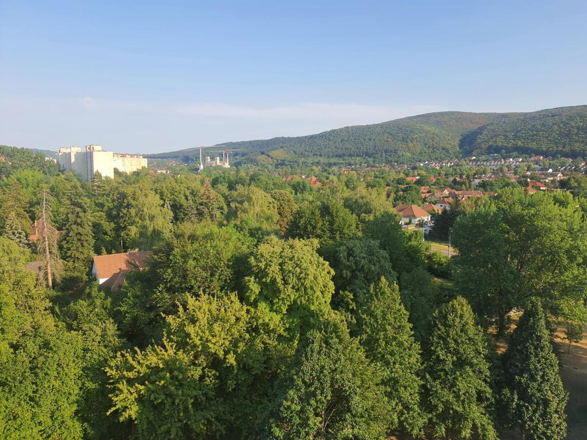 Hegyalja Apartman Miskolc Dış mekan fotoğraf